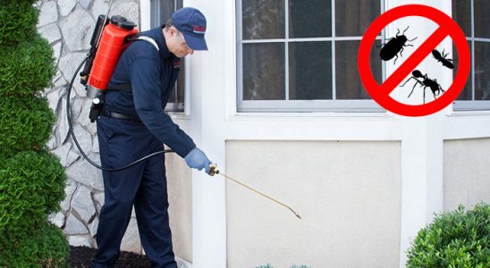 Beyşehir Gümüşkurt İlaçlama böcek ilaçlama ve haşere kontrolü — ilaclama-tr.com